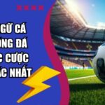 Thuật Ngữ Cá Cược Bóng Đá